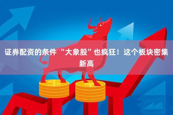 证券配资的条件 “大象股”也疯狂!这个板块密集新高