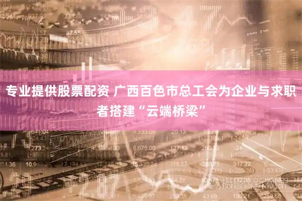 专业提供股票配资 广西百色市总工会为企业与求职者搭建“云端桥梁”
